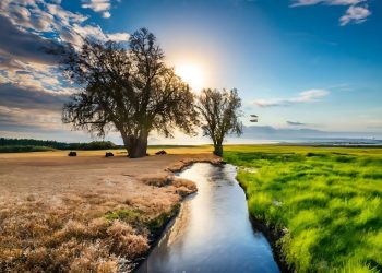 Foto; Reprodução / Internet