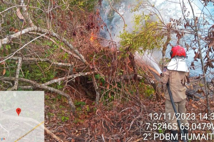 Foto: Divulgação/CBMAM