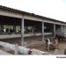 Foto: Superintendência Regional do Trabalho/CE/Divulgação