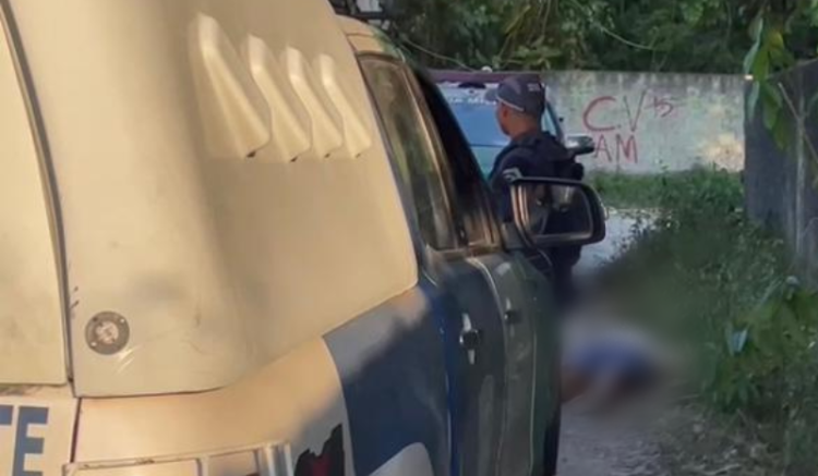 Foto: Reprodução | Whatsapp