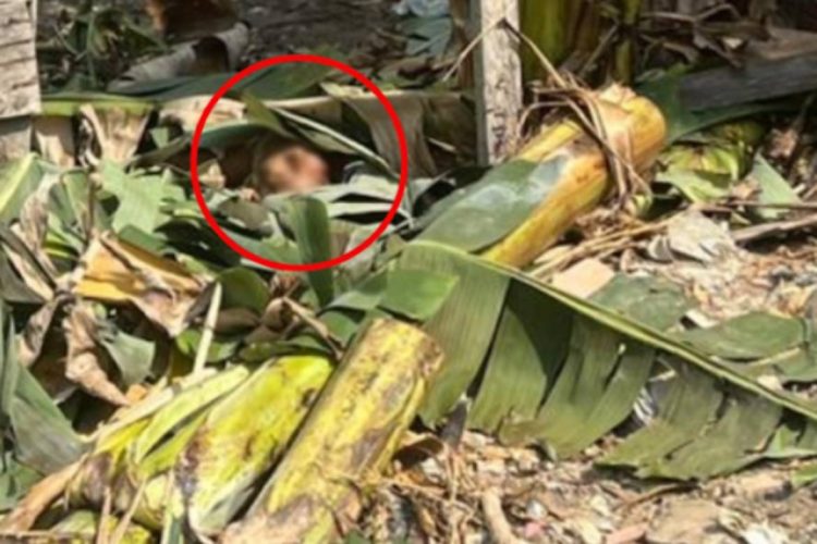 Homem suspeito de agredir mulher é morto no bairro Cidade de Deus, em Manaus
