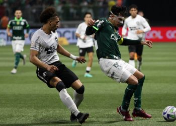 Foto: Cesar Greco/Palmeiras