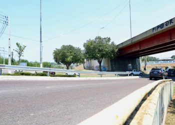 Foto: Karol Silva/IMMU