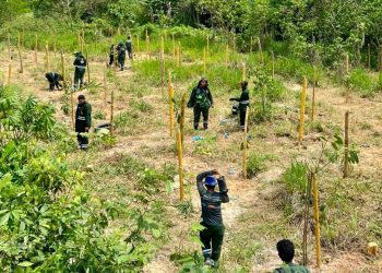 Foto: Taianna Castro, Vanessa Parintins e Deyvson Braga / Semmas