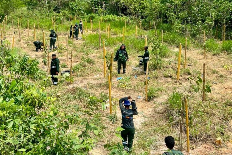 Foto: Taianna Castro, Vanessa Parintins e Deyvson Braga / Semmas