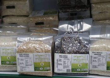 Foto: Paulo Pinto/Agência Brasil