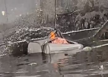 Foto: Reprodução | Whatsapp