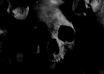 Imagem ilustrativa de um crânio - Foto: Canva