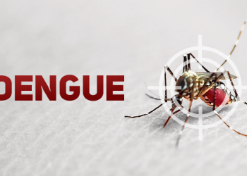 Foto: Reprodução/ Site da prefeitura  de Saudades SC