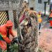 Fotos – Divulgação Semmas