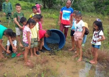 Foto: Divulgação/Sema