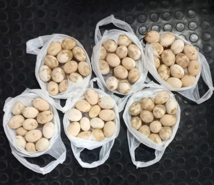 Foto: Divulgação/SSP-AM