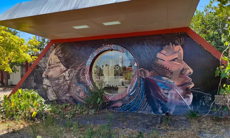 Foto: Alexandre Souza/ TV Brasil