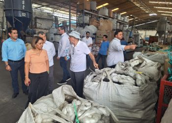 Foto: Divulgação | Suframa