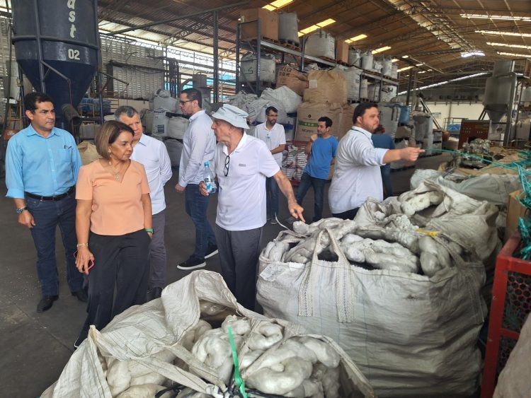 Foto: Divulgação | Suframa