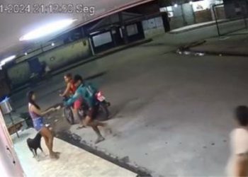 Foto: Reprodução | Whatsapp