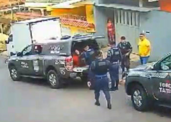 Foto: Reprodução/Whatsapp