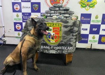 Foto: SSP-AM