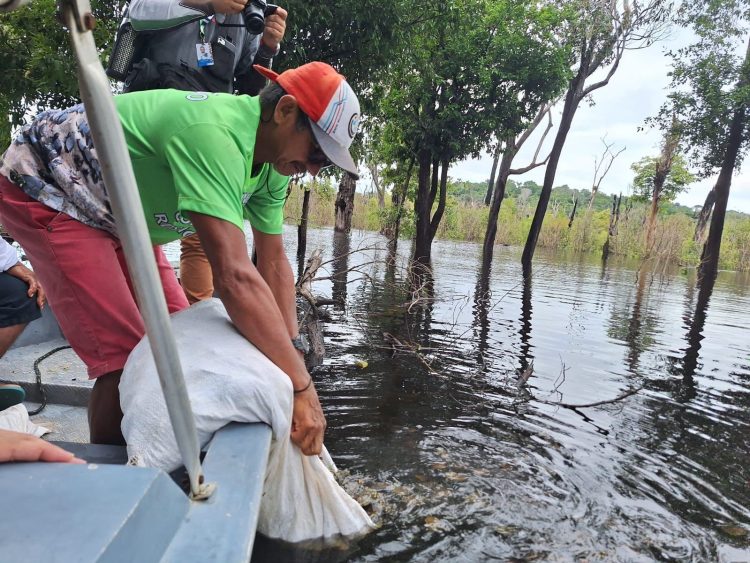 Foto: Divulgação/IBAMA