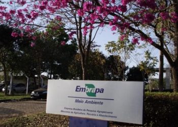 Sede da Embrapa - Foto: Divulgação