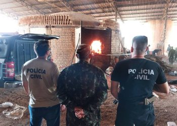 Polícia incinera uma tonelada de drogas apreendidas em operações em Tefé