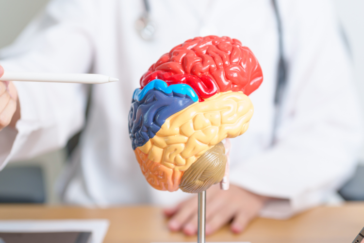 Foto: Reprodução / Canva