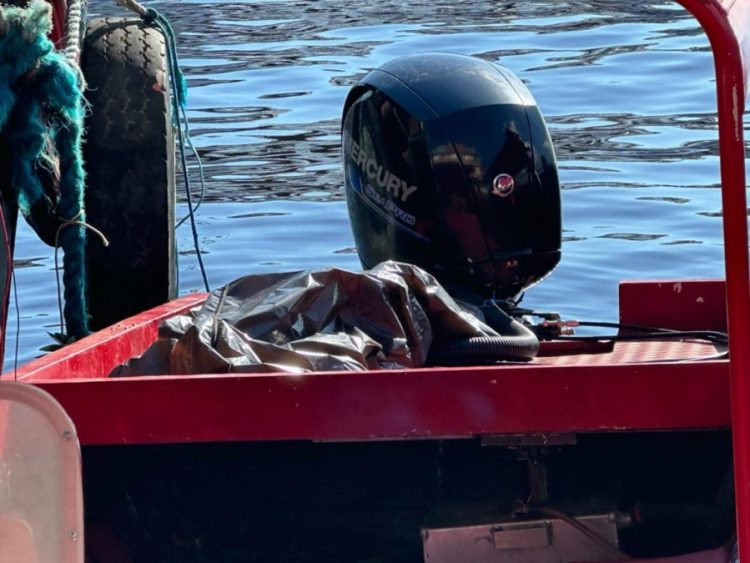 Reprodução | Whatsapp