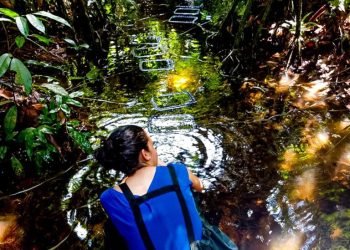 Foto: Divulgação/Acervo da pesquisadora Fabíola Moreira