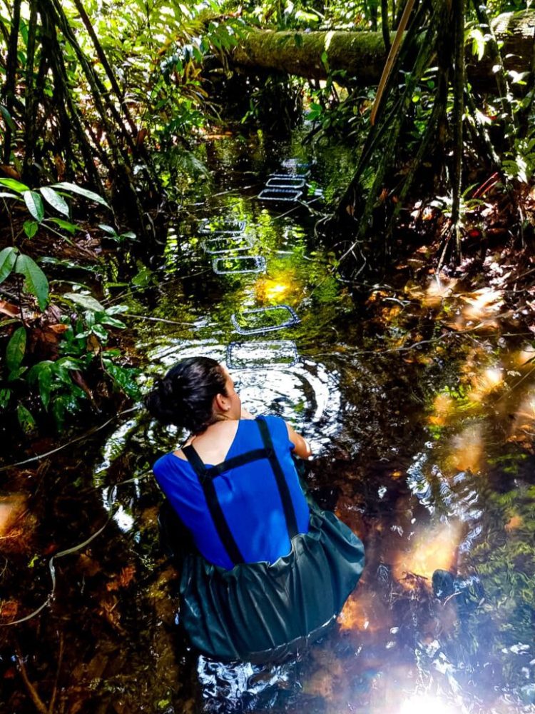 Foto: Divulgação/Acervo da pesquisadora Fabíola Moreira