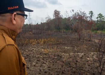 Incêndios na reserva da biosfera Giam Siak Kecil-Bukit, Riau, Indonésia. - Foto: UN Indonesia