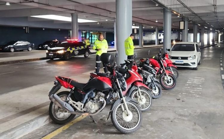 Fotos – Divulgação / IMMU