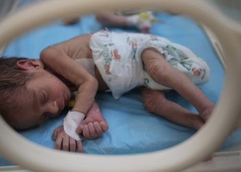 A 5 de Março de 2024, a UNICEF e parceiros entregaram 23 incubadoras a hospitais em Rafah, sul de Gaza - Foto: Unicef/Eyad El Baba