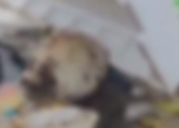 Foto: Reprodução | Whatsapp