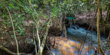 Microbacias do Rio Xingu, em Mato Grosso- Foto:Fabiola Simimbu/Agência Brasil