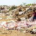 Nações Unidas ressaltam importância de boa gestão no Dia do Resíduo Zero