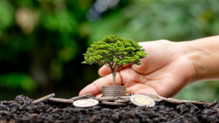 Finanças sustentáveis- Foto: Reprodução/Canva