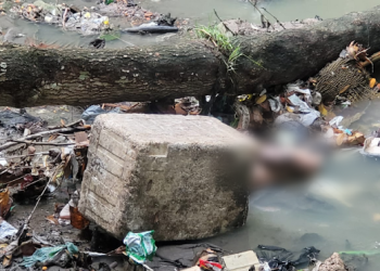 Foto: Reprodução/Whatsapp