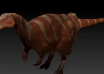 Foto: Divulgação/Thales Nascimento