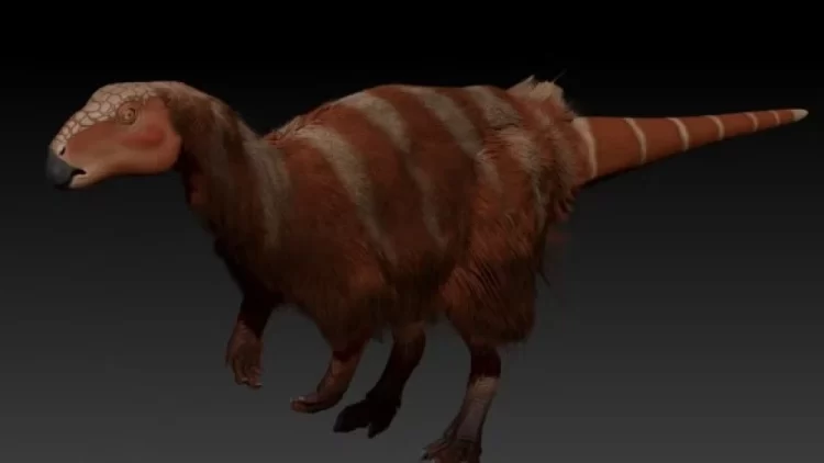 Foto: Divulgação/Thales Nascimento