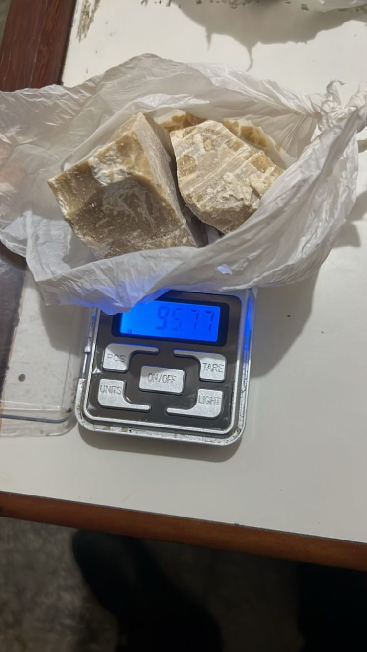 Fotos: Divulgação/PC-AM