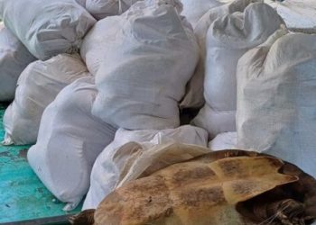 FOTO: Divulgação/PMAM