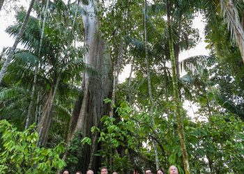 Bioeconomia Representantes de Brasil e França visitam Ilha do Combu, no Pará. Foto: Ricardo Stuckert/PR