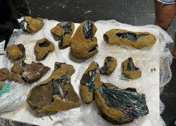 FOTOS: Divulgação/SSP-AM