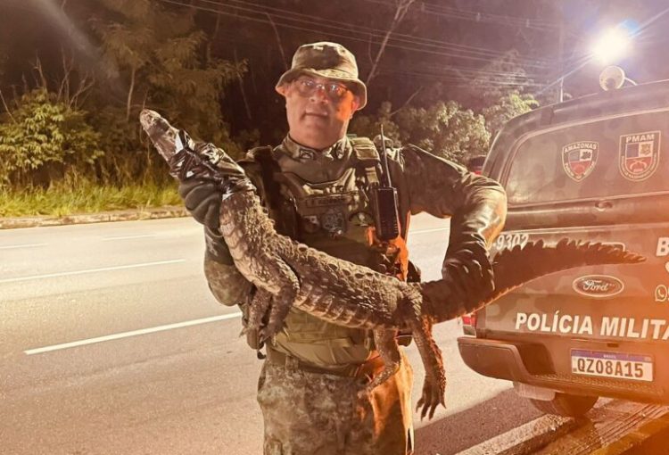 Foto: Divulgação/PMAM