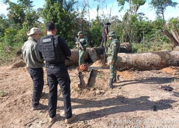 Foto: Divulgação/SSP-AM