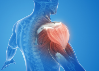 Foto: Reprodução/Canva