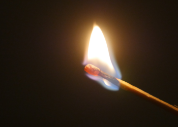 Imagem Ilustrativa Foto: Reprodução/Canva