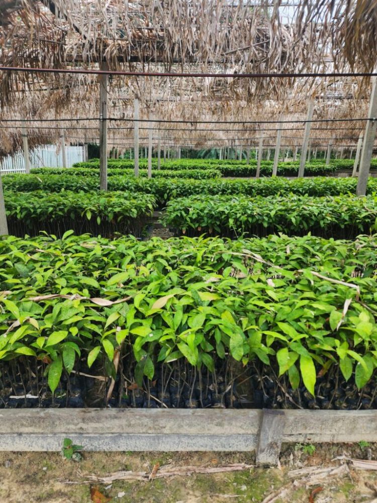 FOTOS: Divulgação/ Sedecti