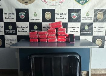 Droga Material apreendido. (Fotos: Divulgação/PC-AM)