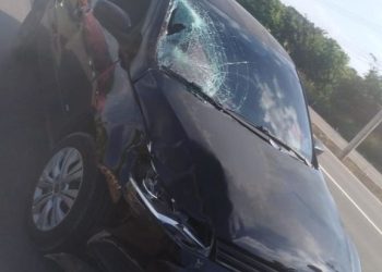 Foto: Reprodução/Whatsapp